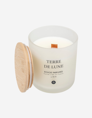 VELA PERFUMADA 255G TERRE DE LUNE