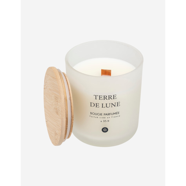 VELA PERFUMADA 255G TERRE DE LUNE
