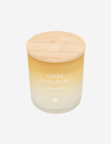 VELA PERFUMADA 255G TERRE D'AILLEURS