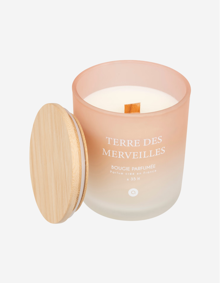 VELA PERFUMADA 255G TERRE DES MERVEILLES