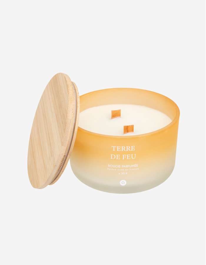 VELA PERFUMADA 420G TERRE DE FEU