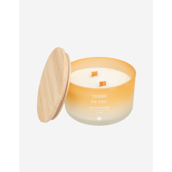 VELA PERFUMADA 420G TERRE DE FEU
