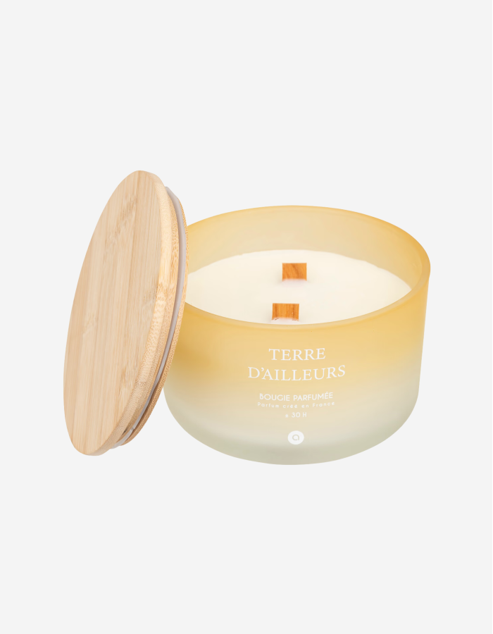 VELA PERFUMADA 420G TERRE D'AILLEURS