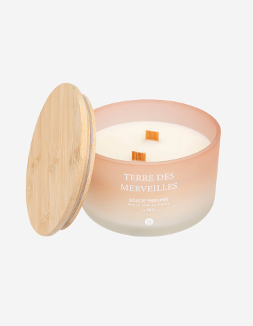 VELA PERFUMADA 420G TERRE DES MERVEILLES