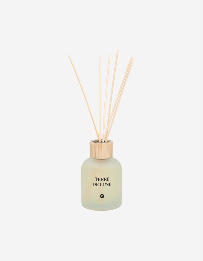 DIFUSOR PERFUME 150ML TERRE DE FEU