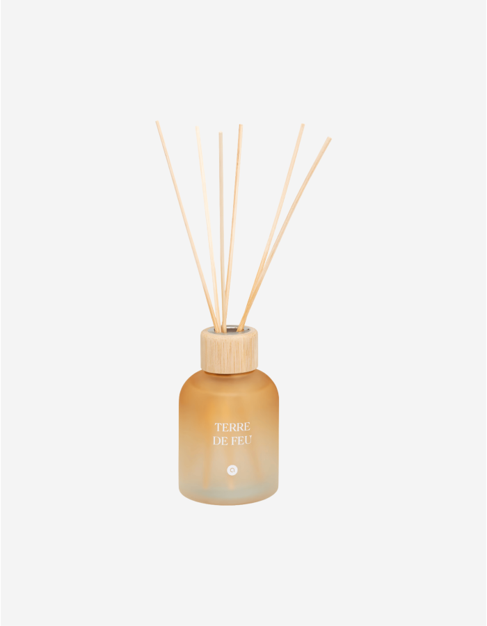 DIFUSOR PERFUME 150ML TERRE DE FEU