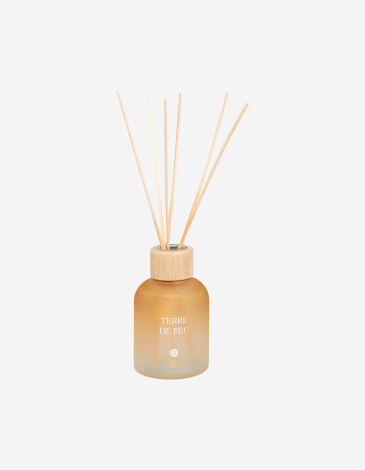 DIFUSOR PERFUME 150ML TERRE DE FEU