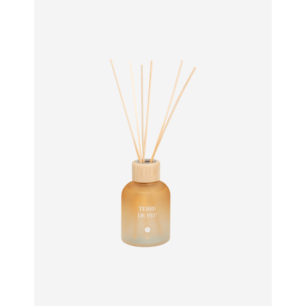 DIFUSOR PERFUME 150ML TERRE DE FEU