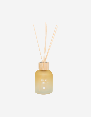 DIFUSOR PERFUME 150ML TERRE D'AILLEURS