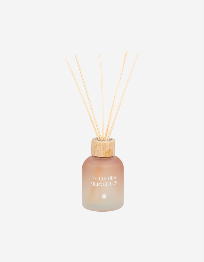 DIFUSOR PERFUME 150ML TERRE DE FEU