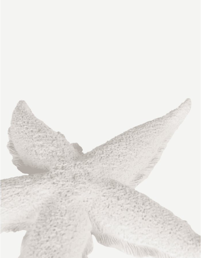 FIGURA ESTRELLA BLANCO RESINA 30X30X4