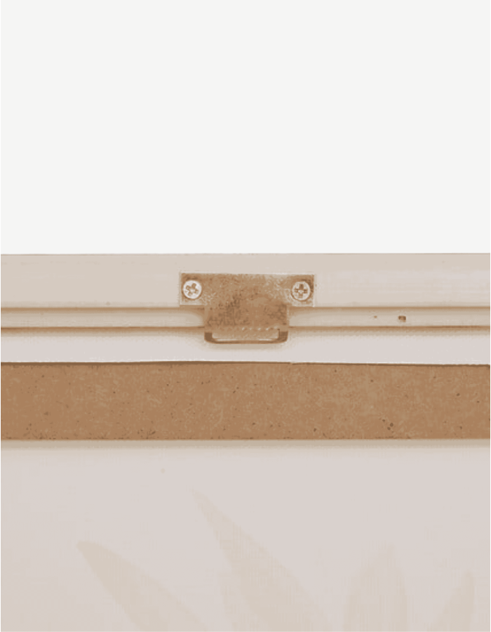 LIENZO ENMARCADO OLIVA CLAUDIA 45X60