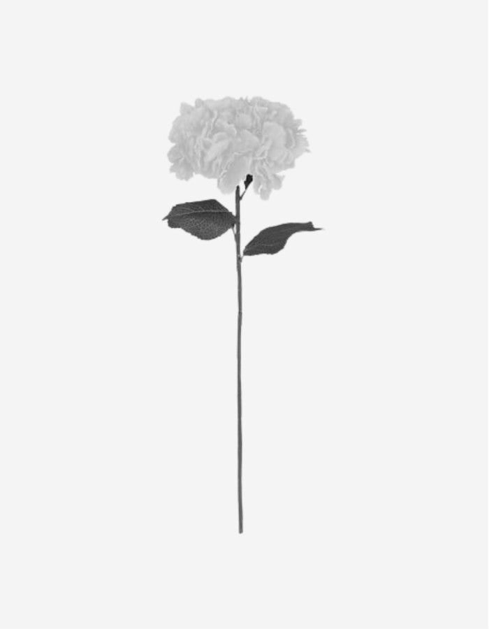 VARA HORTENSIA BLANCA 83CM