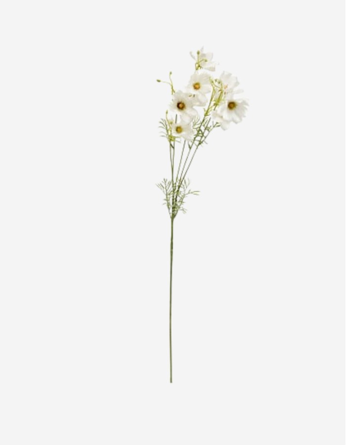 TALLO DE COREOPSIS PHOEBE 88CM 