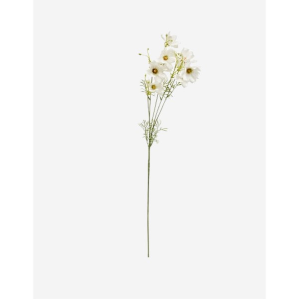 TALLO DE COREOPSIS PHOEBE 88CM 