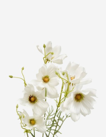 TALLO DE COREOPSIS PHOEBE 88CM 