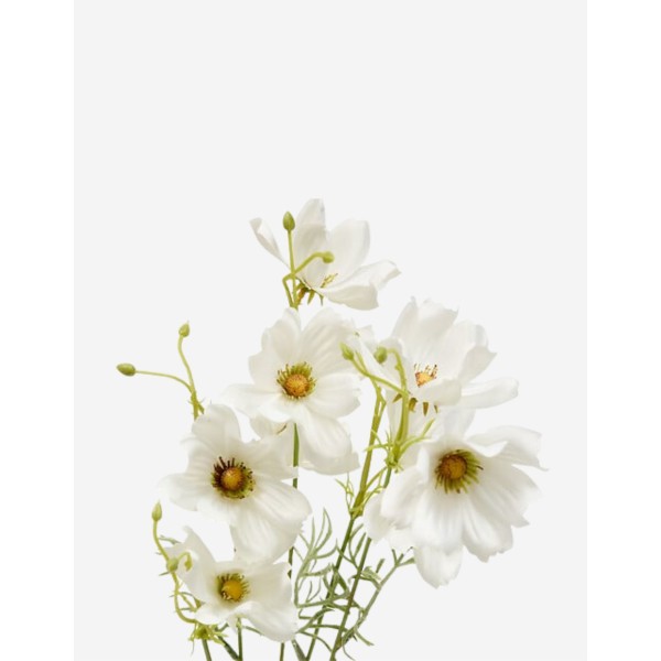 TALLO DE COREOPSIS PHOEBE 88CM 