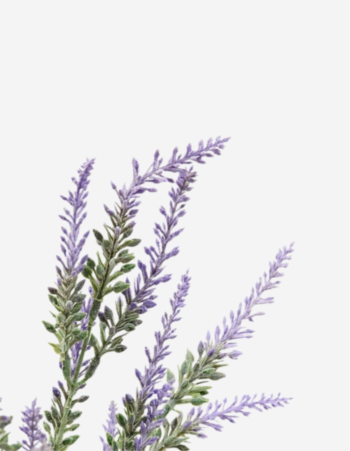 RAMO DE LAVANDA PROVENCE 37CM 