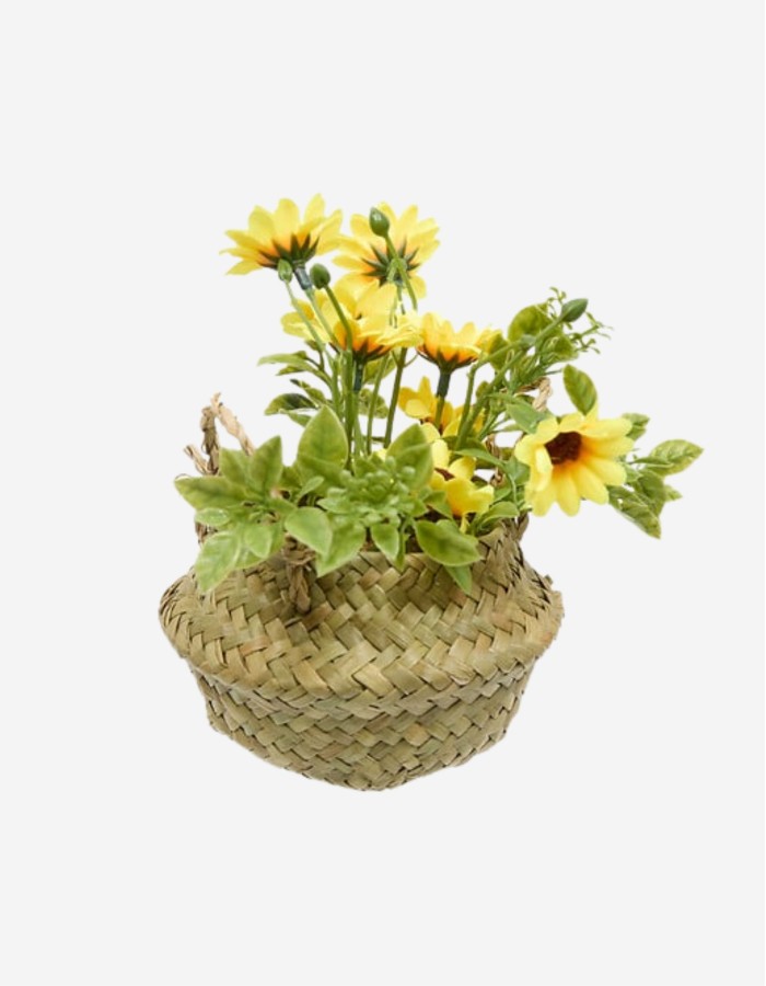 ARREGLO DE MARGARITAS TIFI 20CM SURTIDO