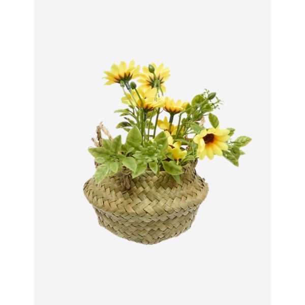ARREGLO DE MARGARITAS TIFI 20CM SURTIDO