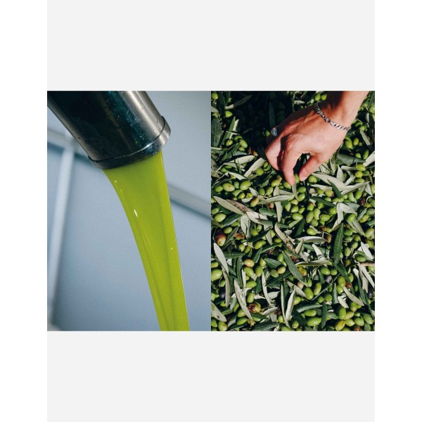 LIBRO OLIVE OIL