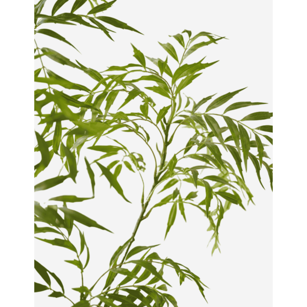 SAUCE E/MACETA VERDE 150 CM