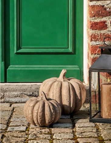 CALABAZA CON ACABADO NATURAL D. 20 CM
